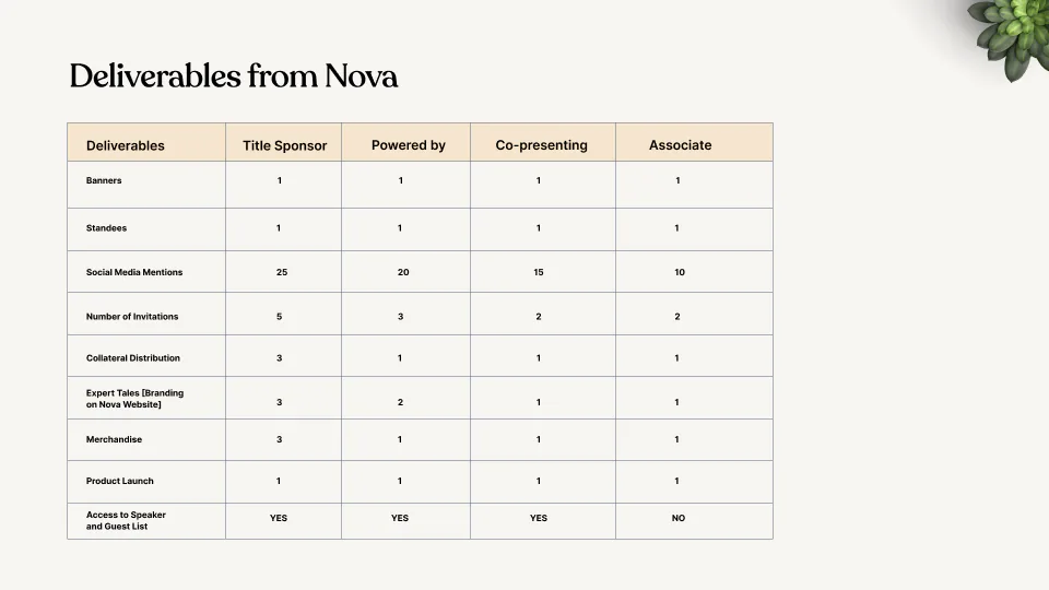 Slide 11
